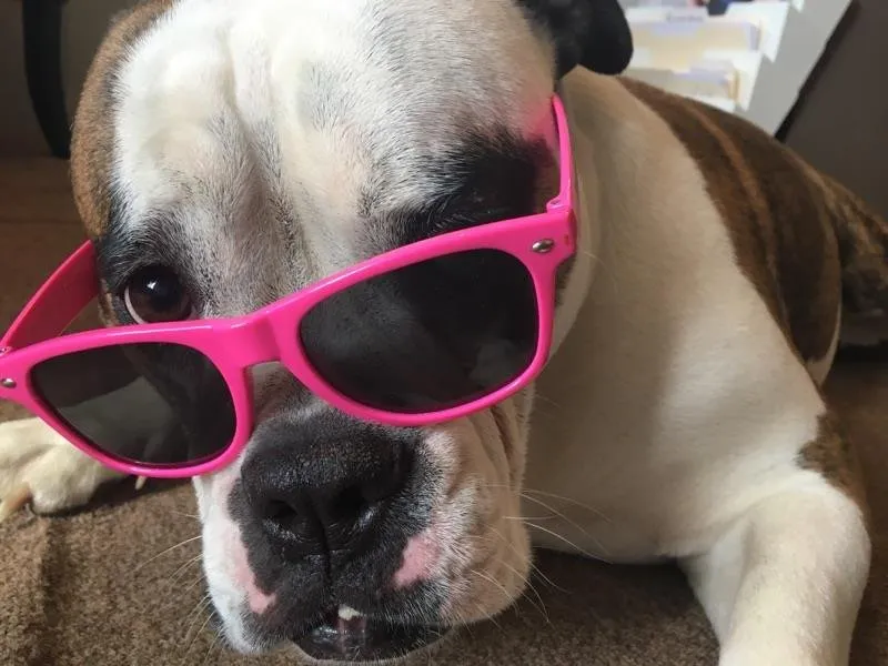 Slide of Michall Daimion Heating & Air Conditioning