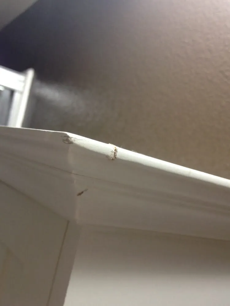 Slide of Mida Industries