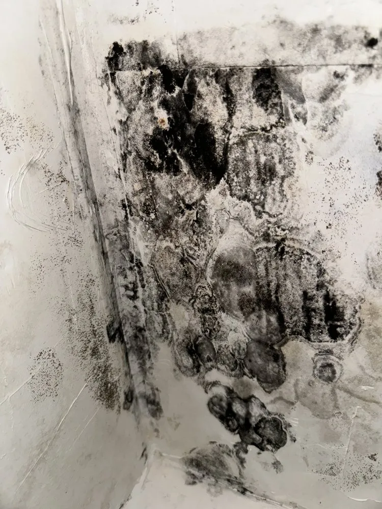 Slide of Midsouth Air Duct Pros