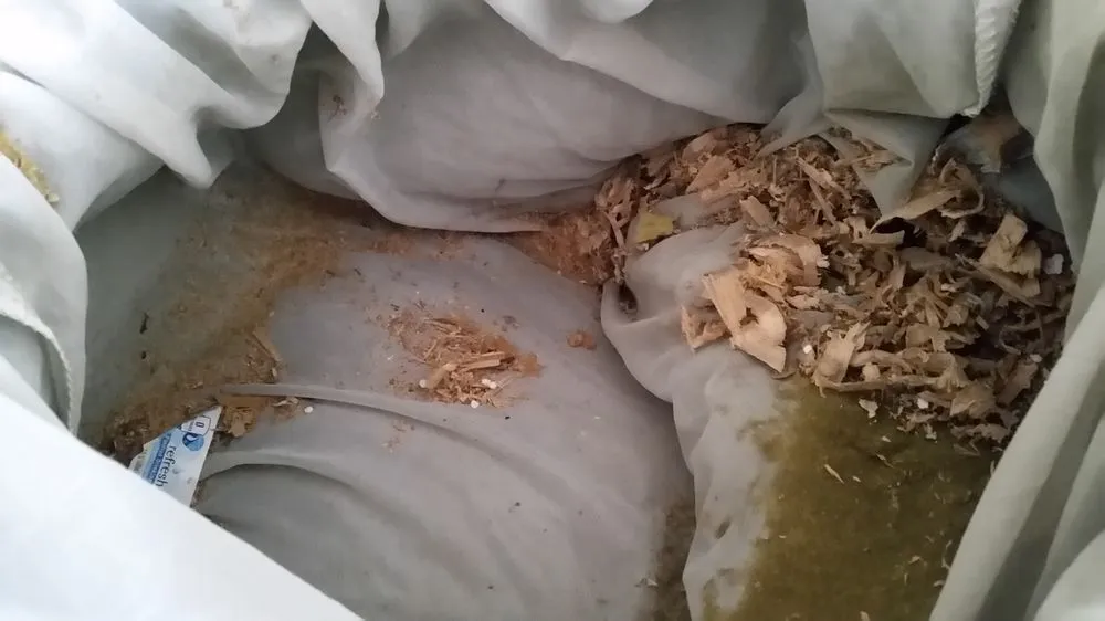 Slide of Mihaly Air Care