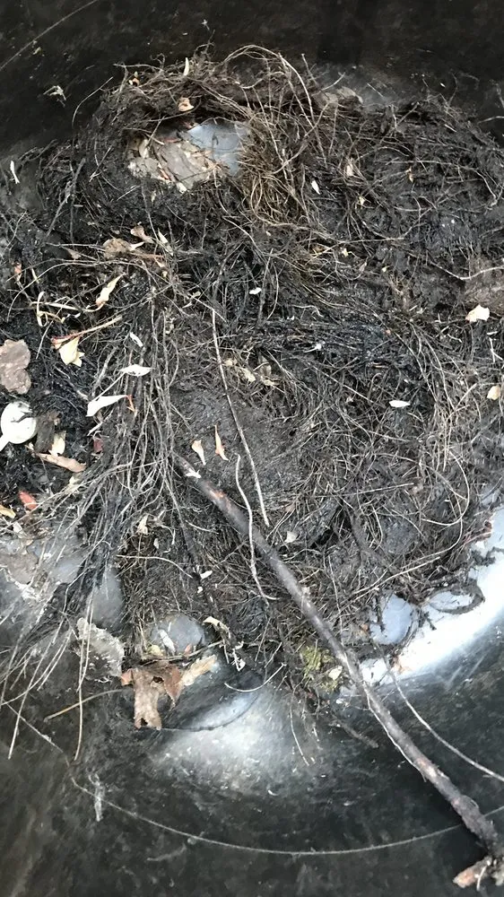 Slide of Mike Diamond Plumbing