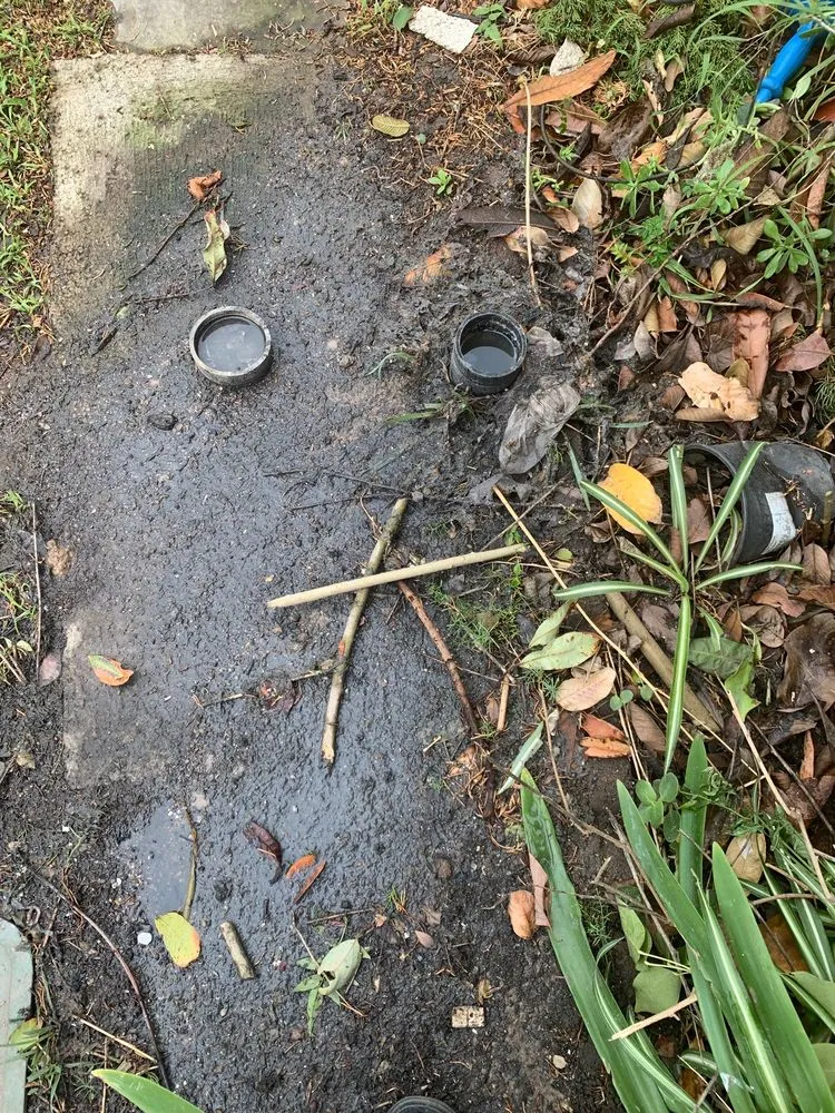 Slide of Mike Diamond Services