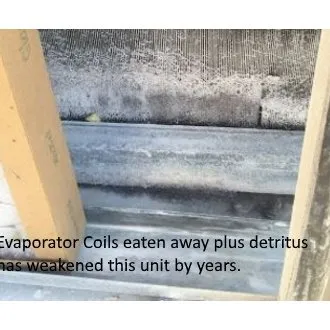 Mike Nebgen's Save On Filters Logo