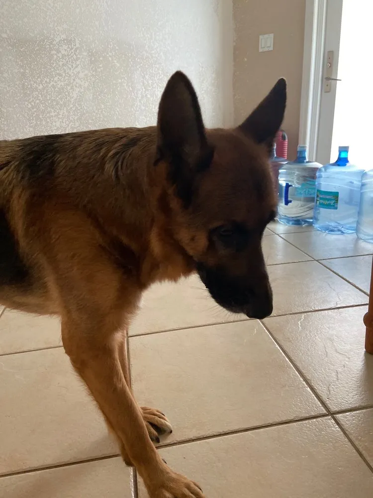 Slide of Mike's Appliance Service