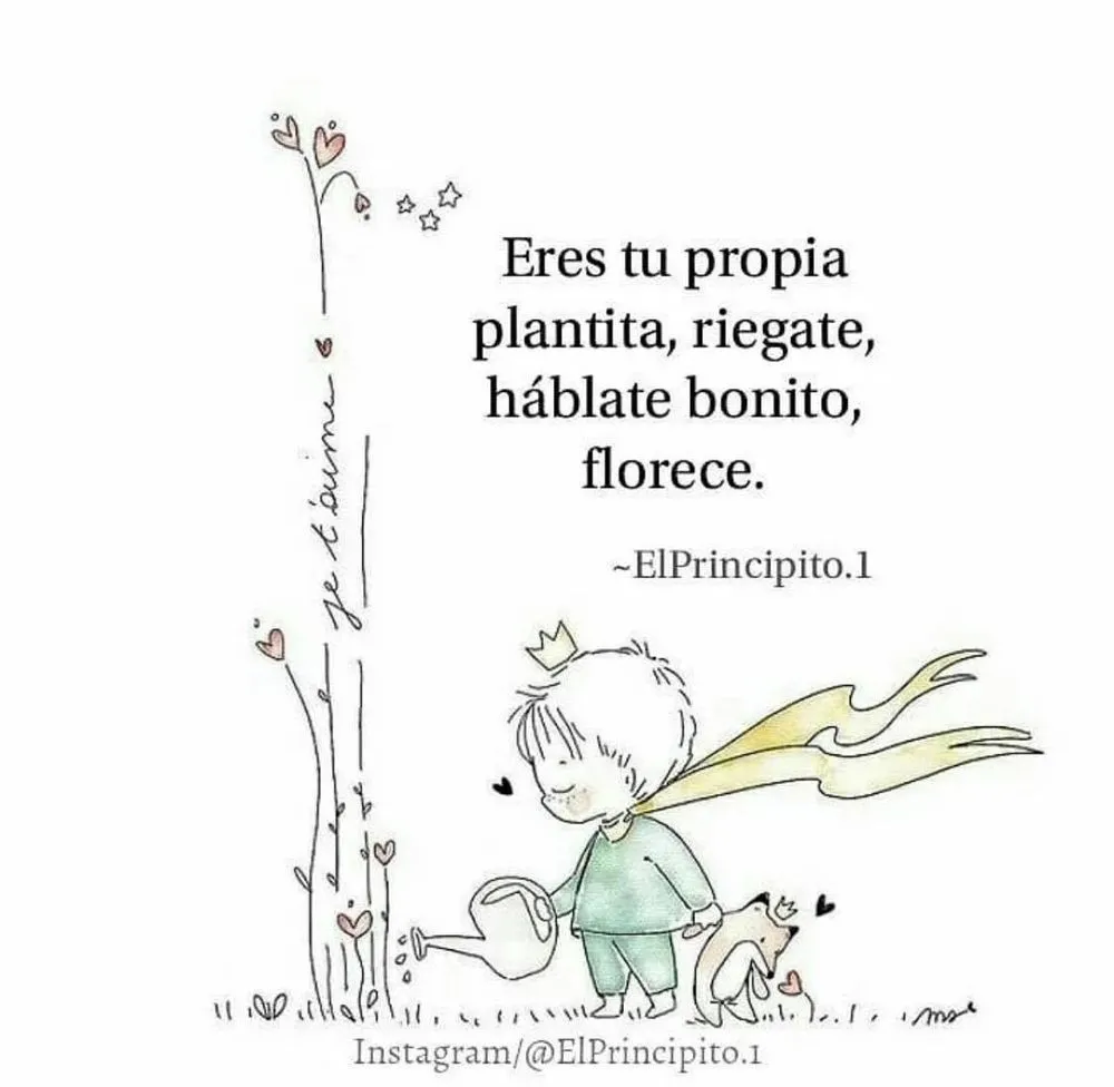 Slide of Mike's Appliance Service