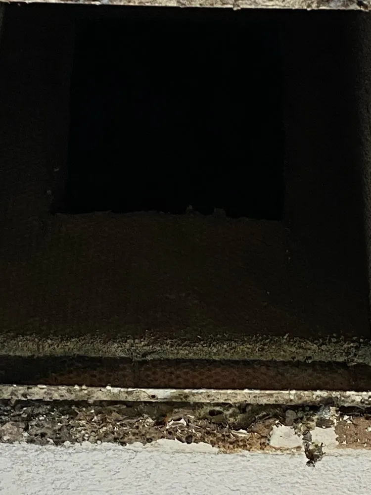 Slide of Milestone Air