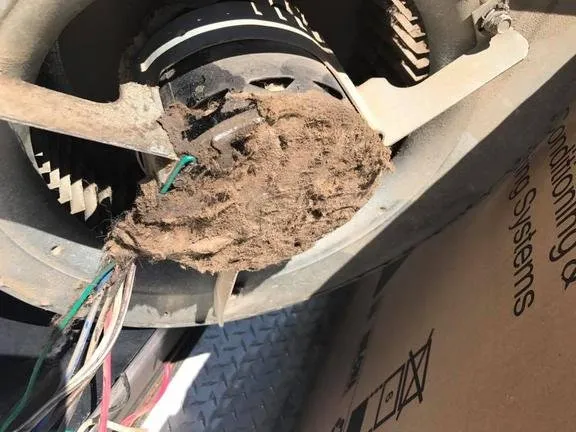 Slide of Millard Heating & Cooling