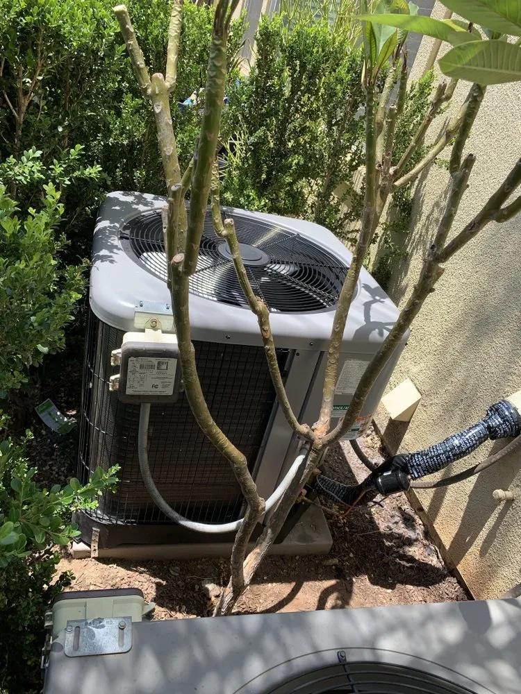 Slide of Mills Brothers Climate Control