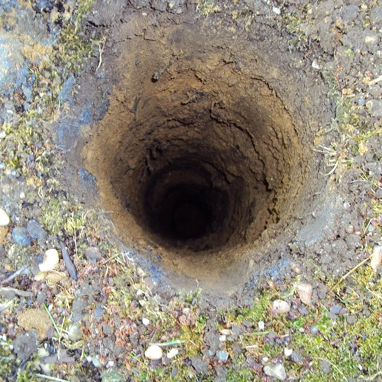 Slide of Milro Group