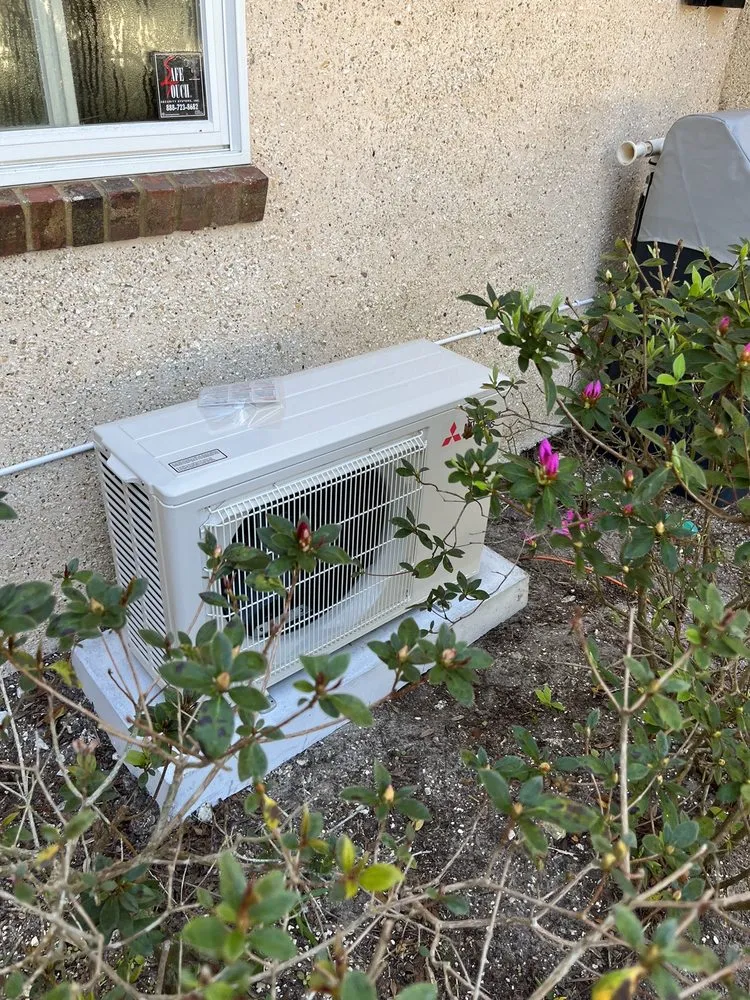 Slide of Milts Of Amelia