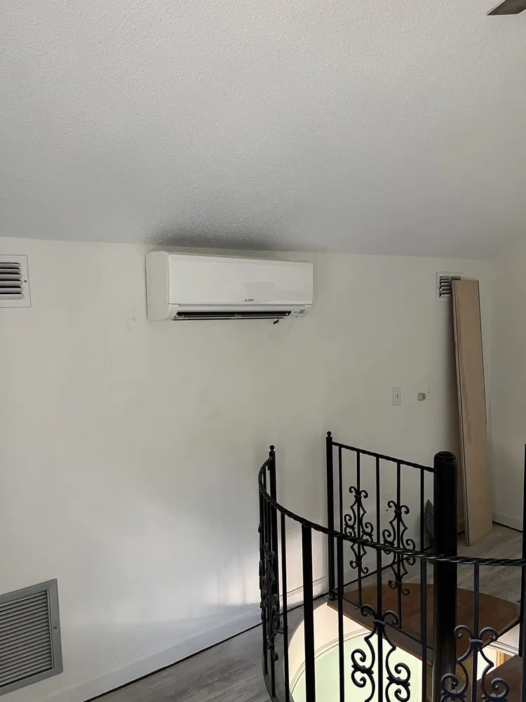 Slide of Milts Of Amelia