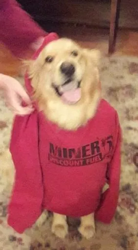 Slide of Miner Discount Fuel