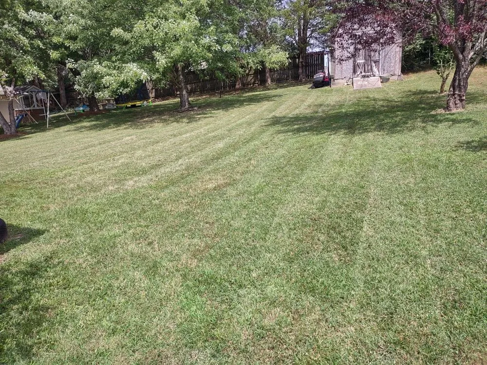 Slide of Miscellaneous Man