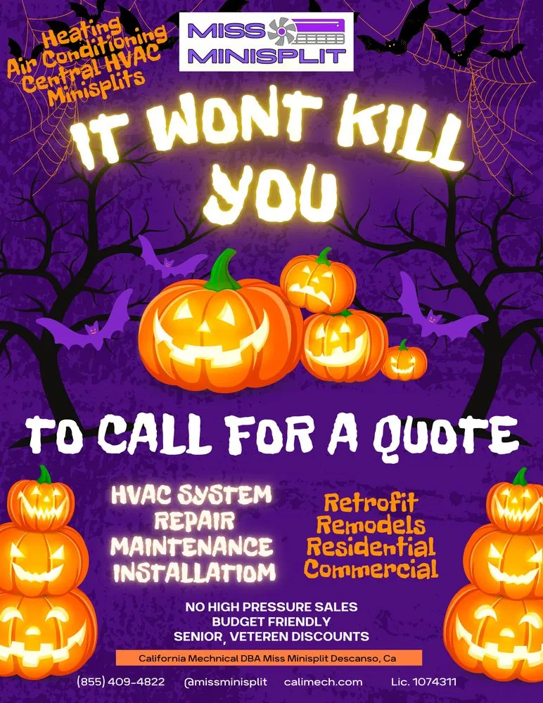 Slide of Miss Minisplit