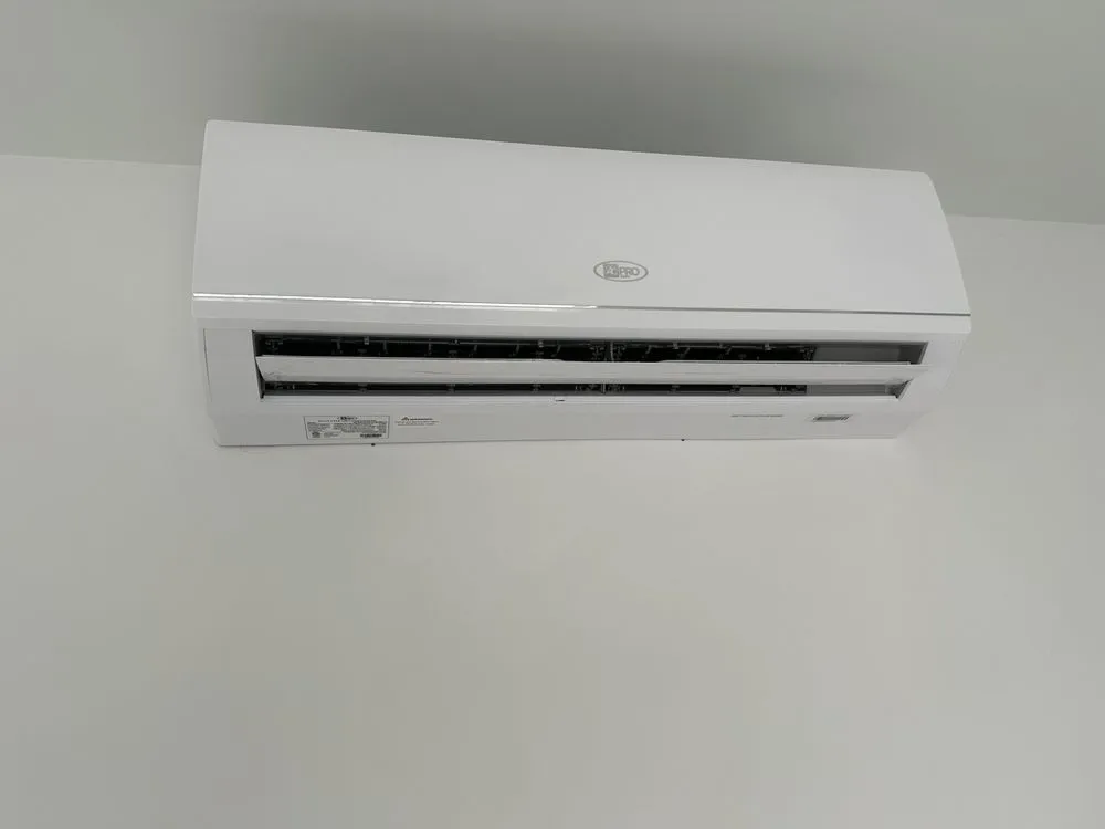 Slide of Miss Minisplit