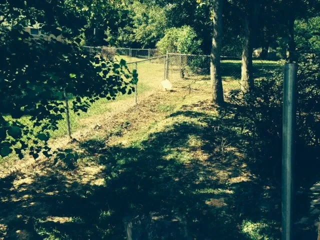 Slide of Mitch Moore Contracting