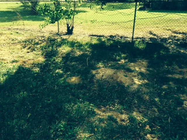 Slide of Mitch Moore Contracting