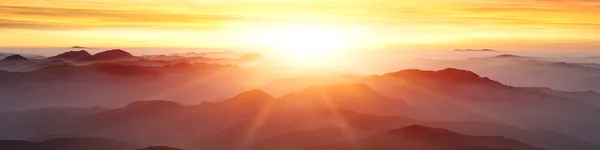 Mitcham and Company Logo