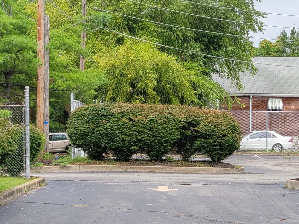 Slide of Mj And Hammer