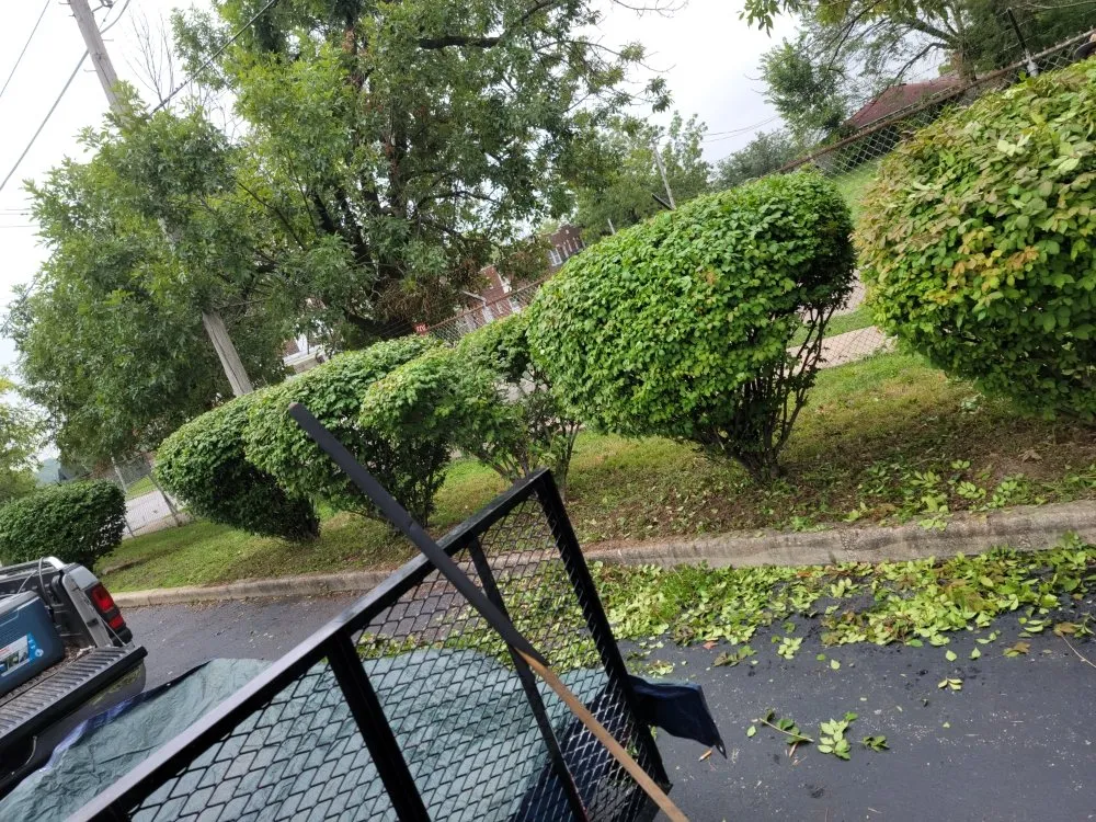 Slide of Mj And Hammer