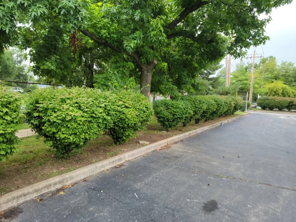 Slide of Mj And Hammer