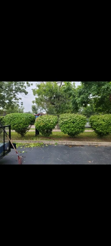 Slide of Mj And Hammer