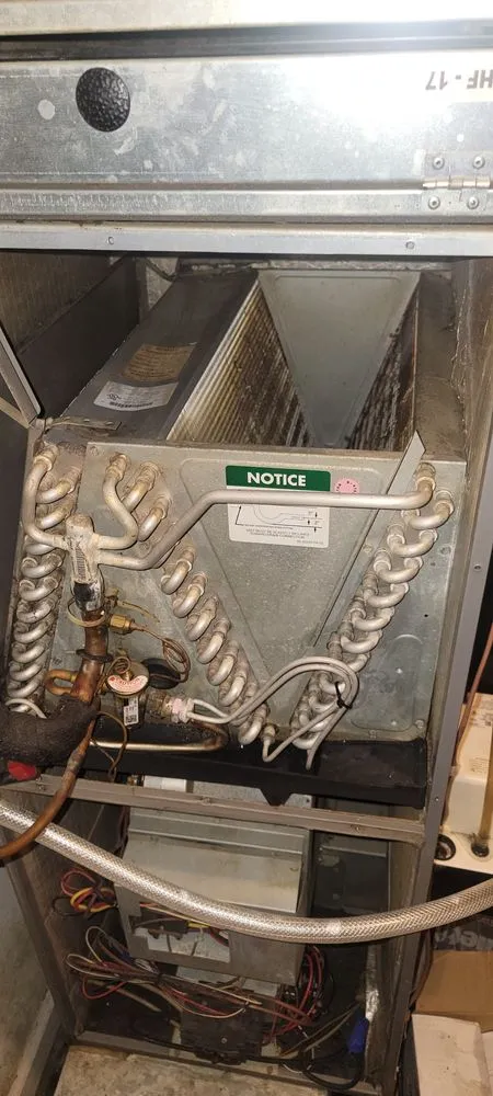 Slide of Mj And Hammer