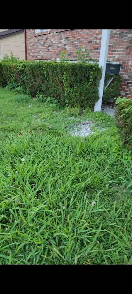 Slide of Mj And Hammer