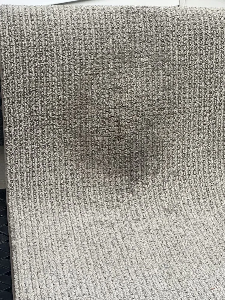 Slide of M.J. Emonds