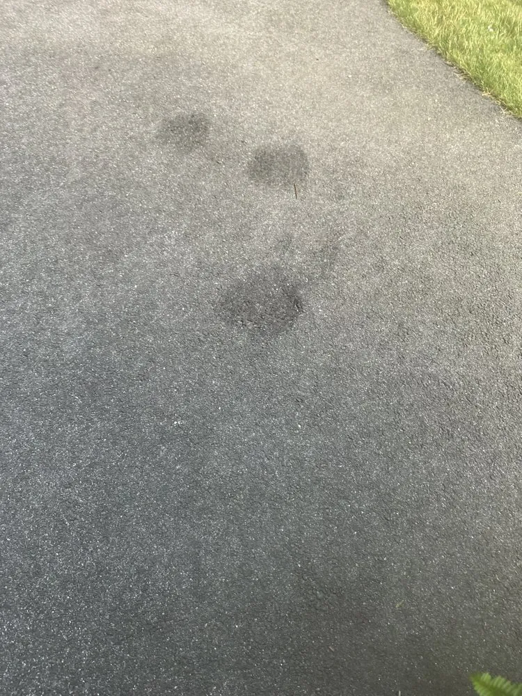 Slide of M.J. Emonds