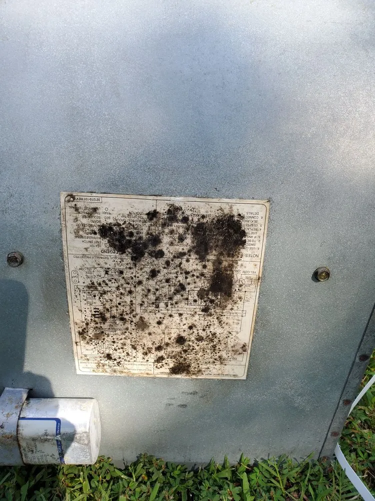 Slide of M&J Services