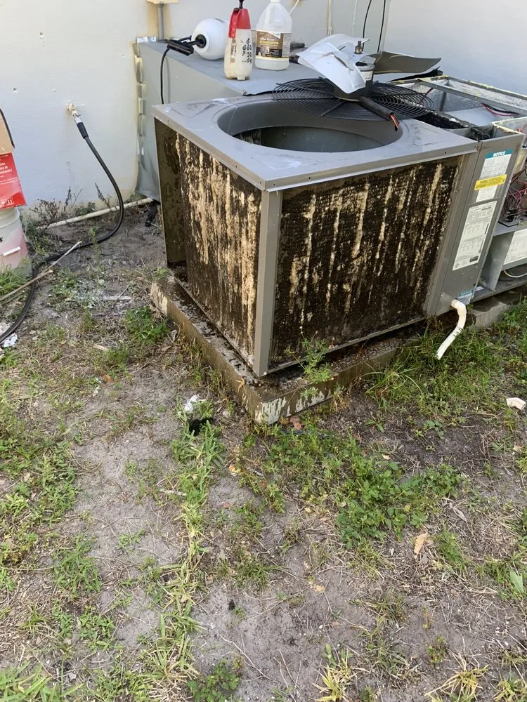 Slide of MKF Services