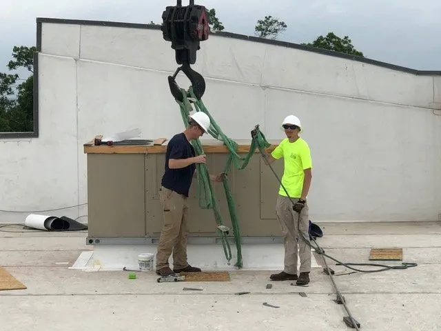 Slide of MLD Services