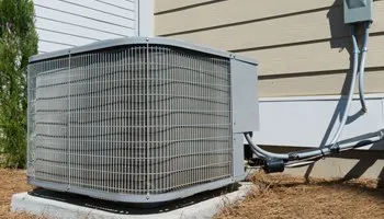 Slide of MLD Services