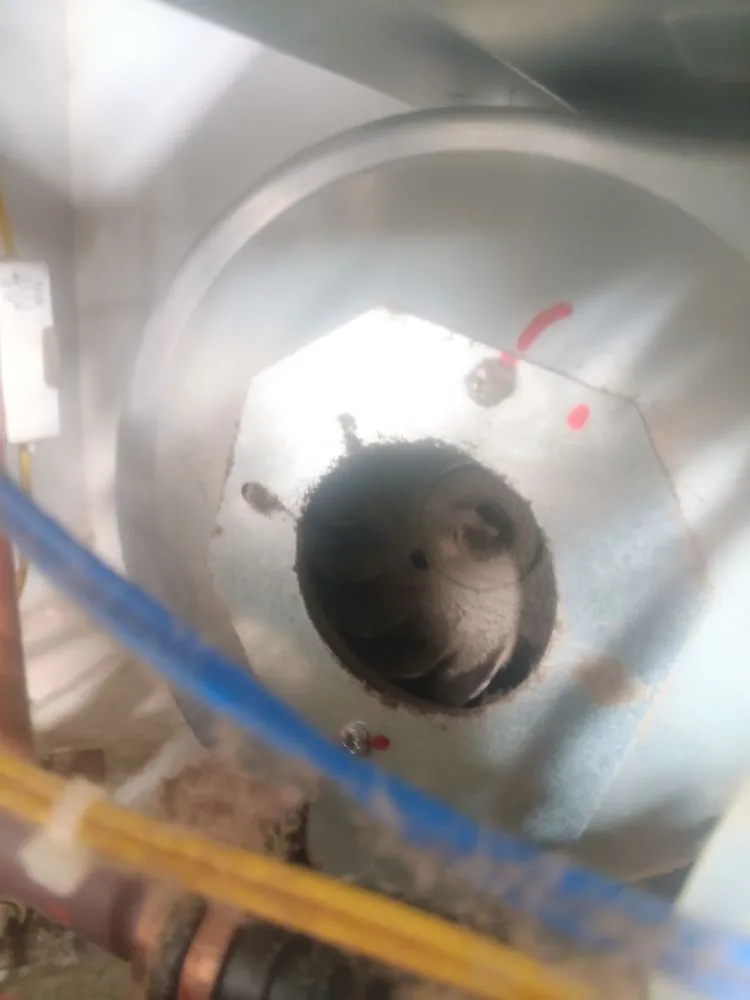 Reliable air conditioning service experts serving Roscommon, MI - Müller Mechanical