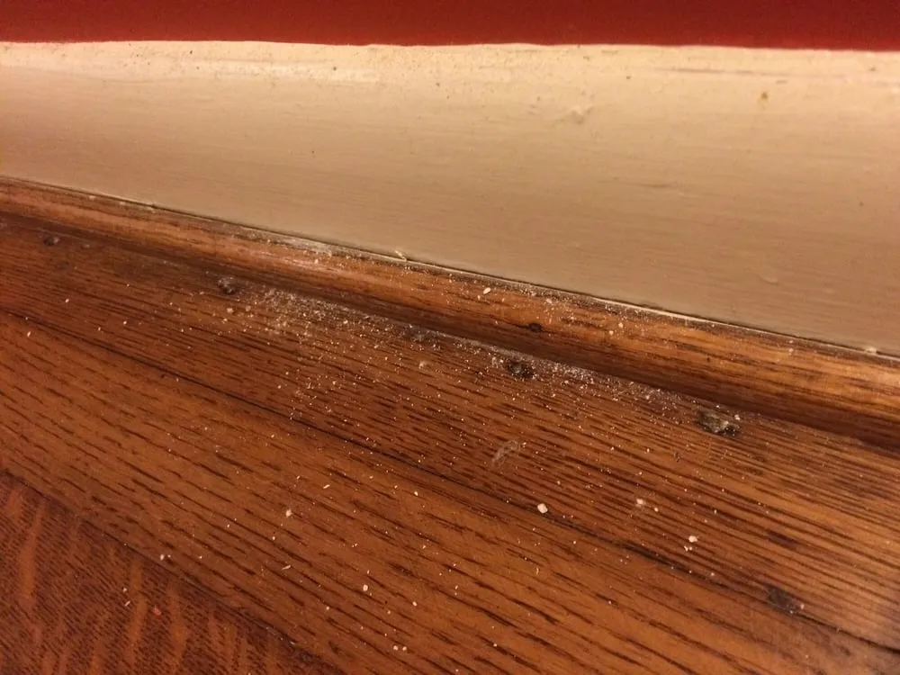 Slide of MMI Climate Solutions