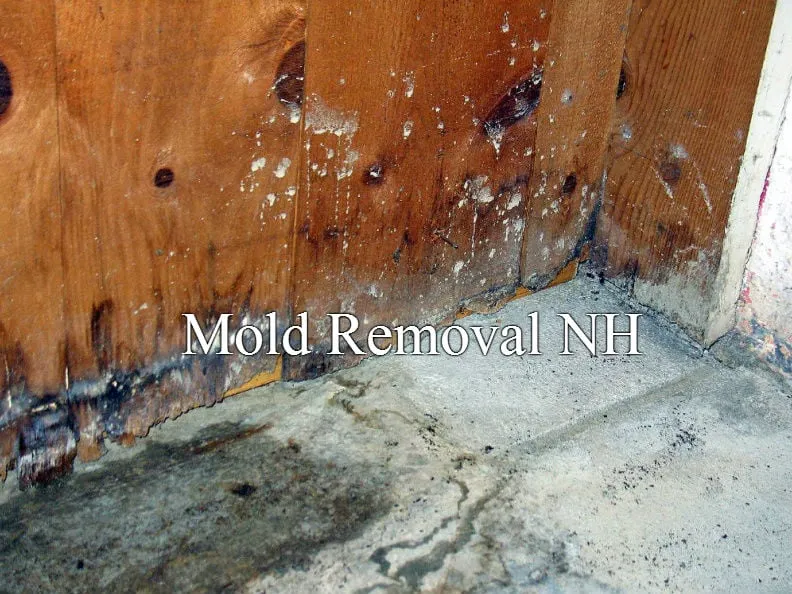 Slide of Mold Removal NH