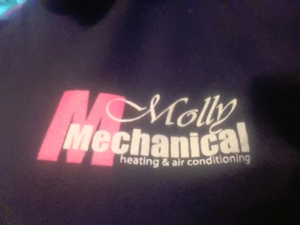 Slide of Molly Mechanical