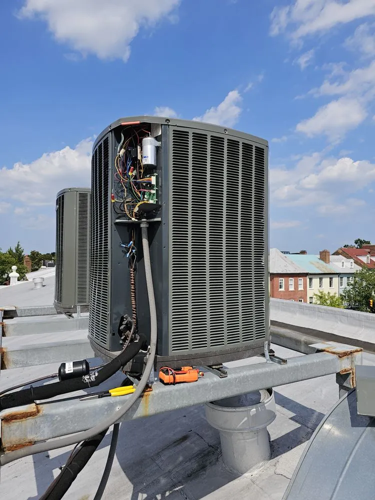 Slide of Molo Hvacre