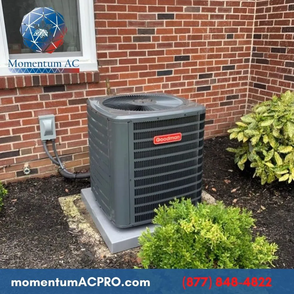 Slide of Momentum AC