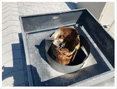 Slide of Monarch Air