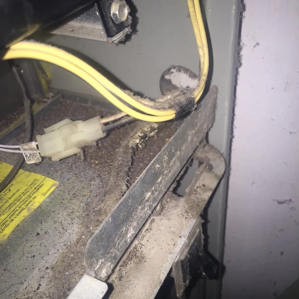 Slide of Monarch Air