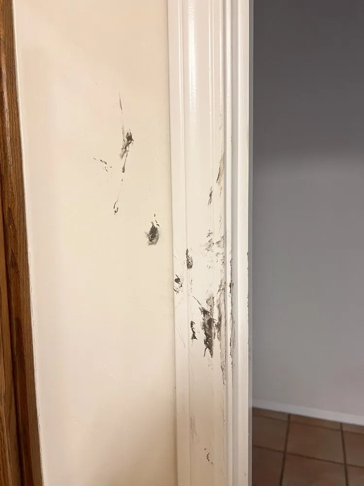 Slide of Monarch Home Services - Bakersfield