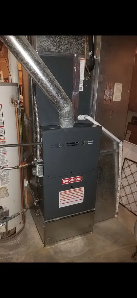 Slide of Monkey Ducting Around