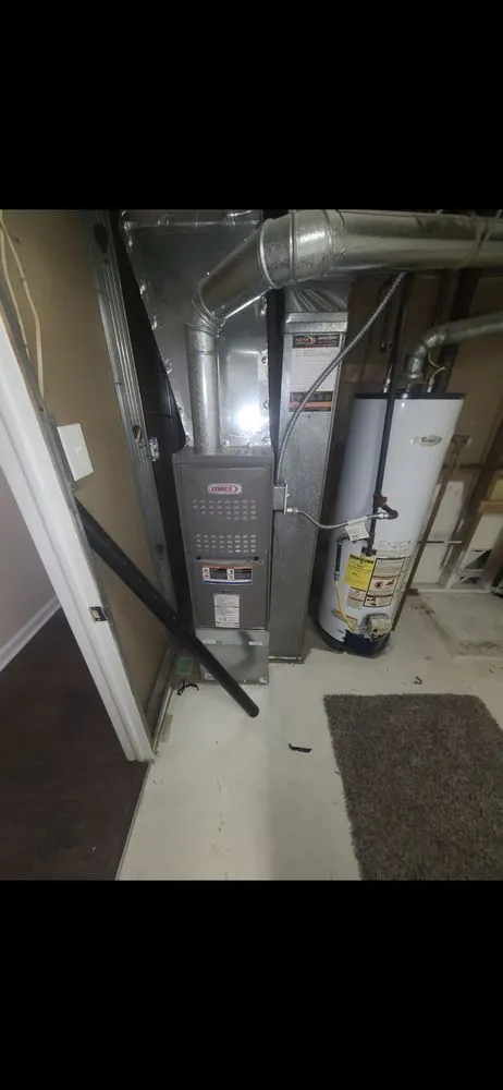 Slide of Monkey Ducting Around