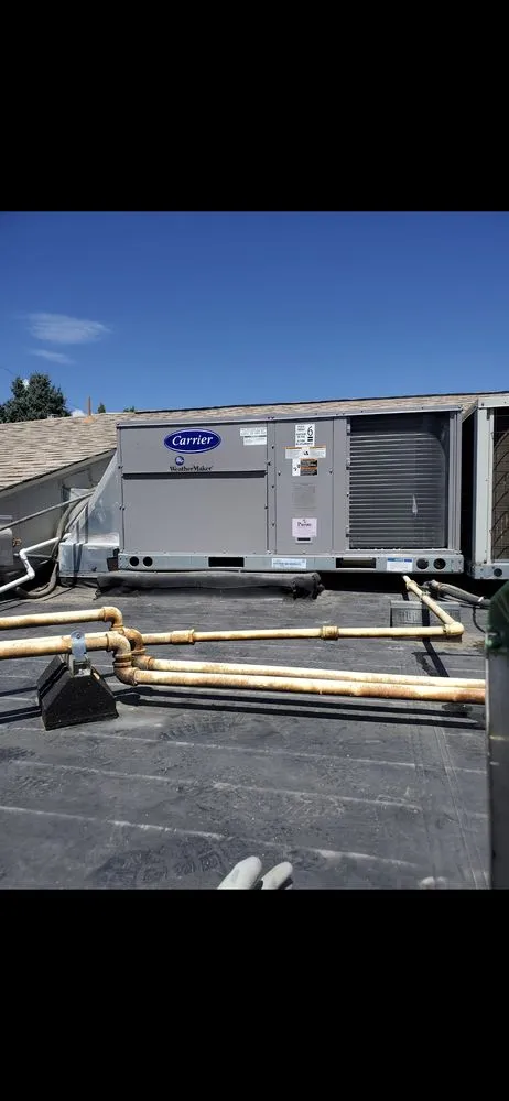 Slide of Monkey Ducting Around