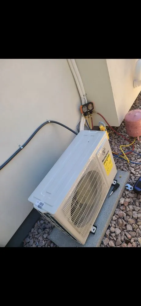 Slide of Monkey Ducting Around