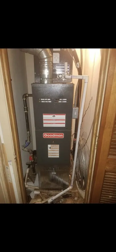 Slide of Monkey Ducting Around