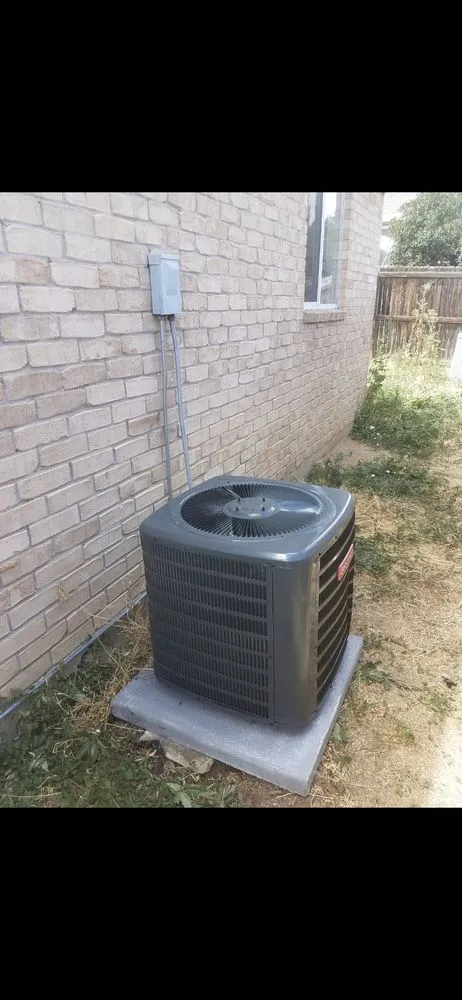 Slide of Monkey Ducting Around