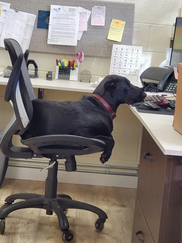 Slide of Montgomery Heating & Air Conditioning